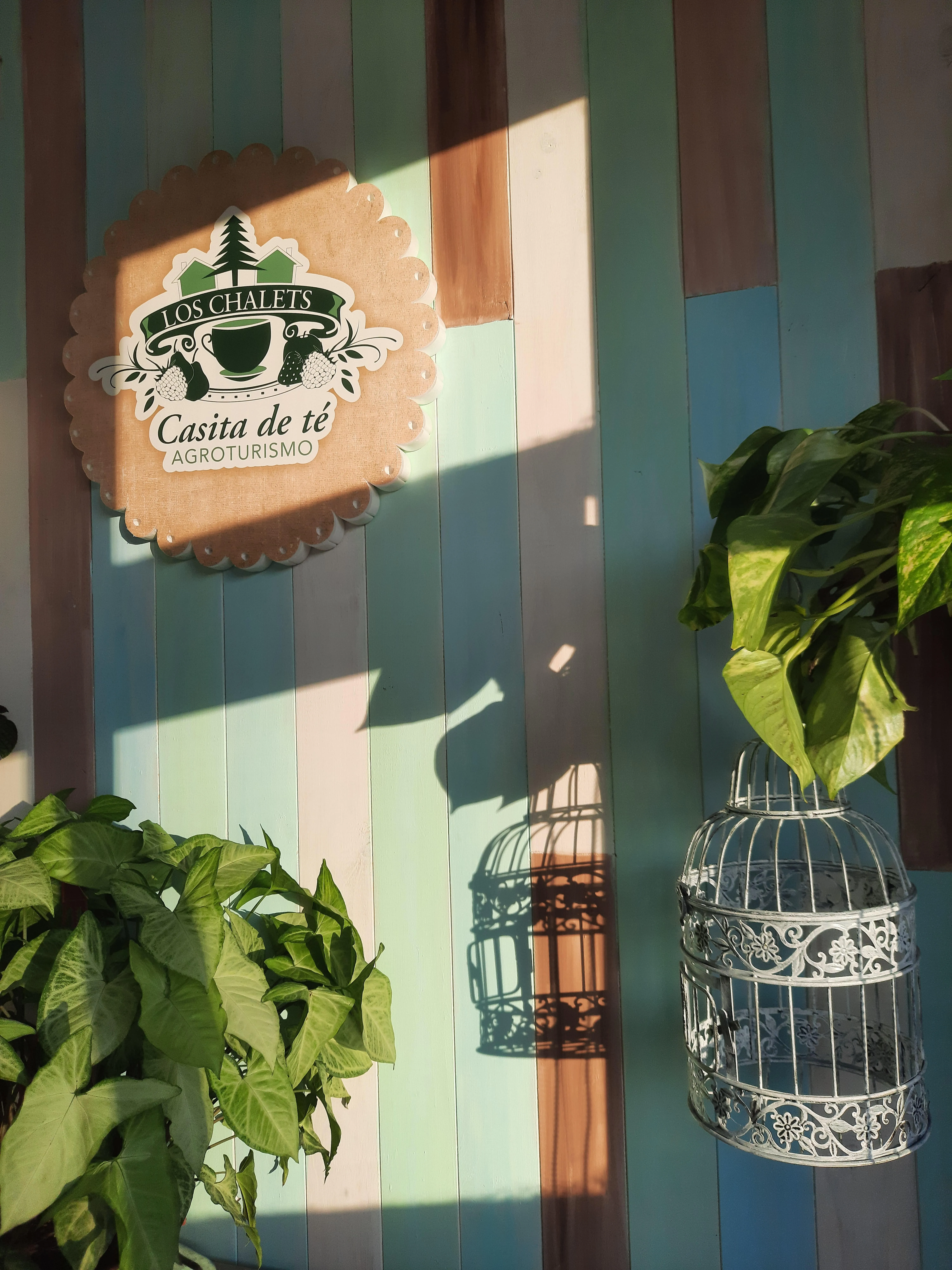 Entrada al salón de Los Chalets con plantas y decoración rústica