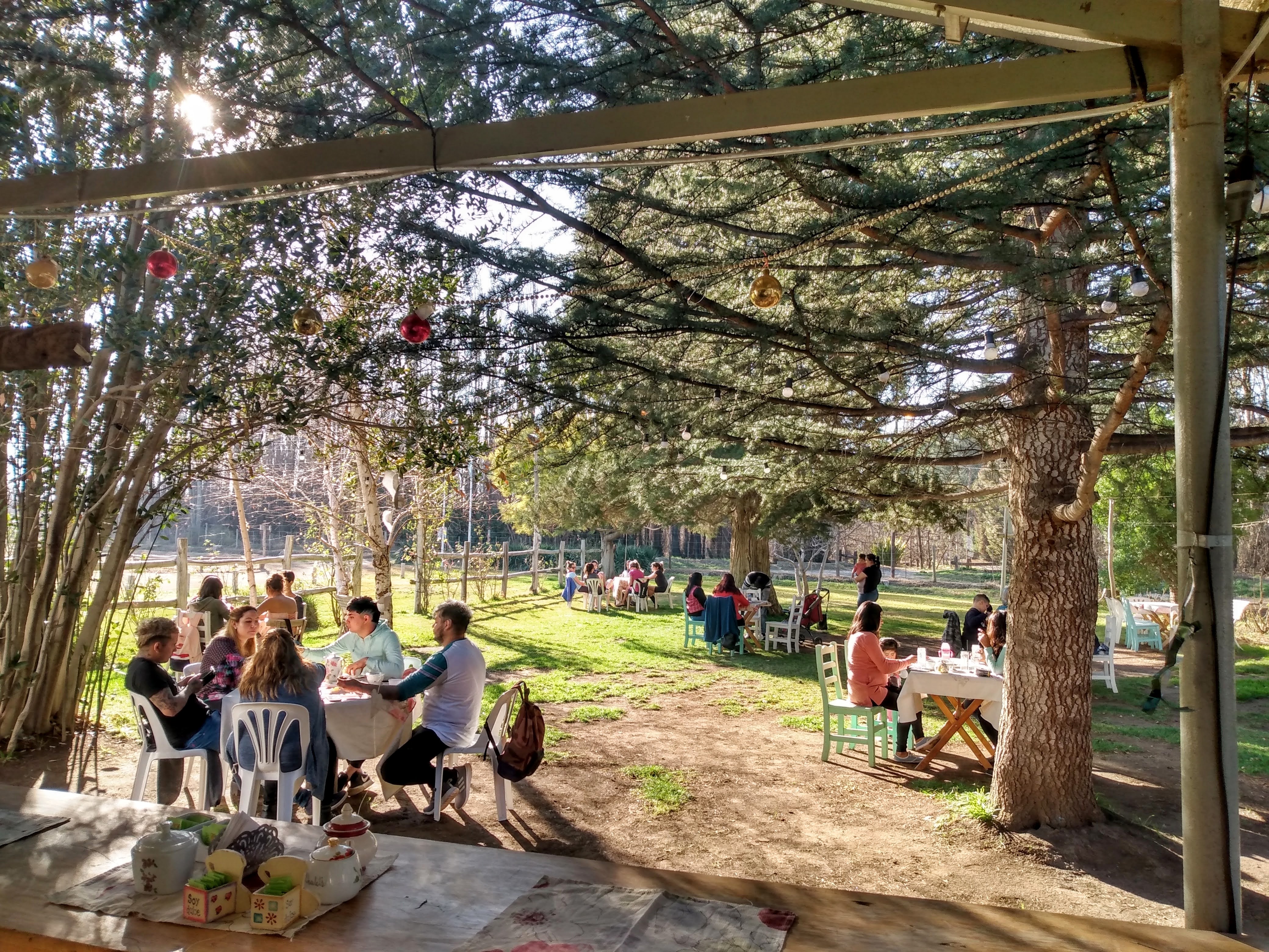 Vista del parque desde la barra de bebidas