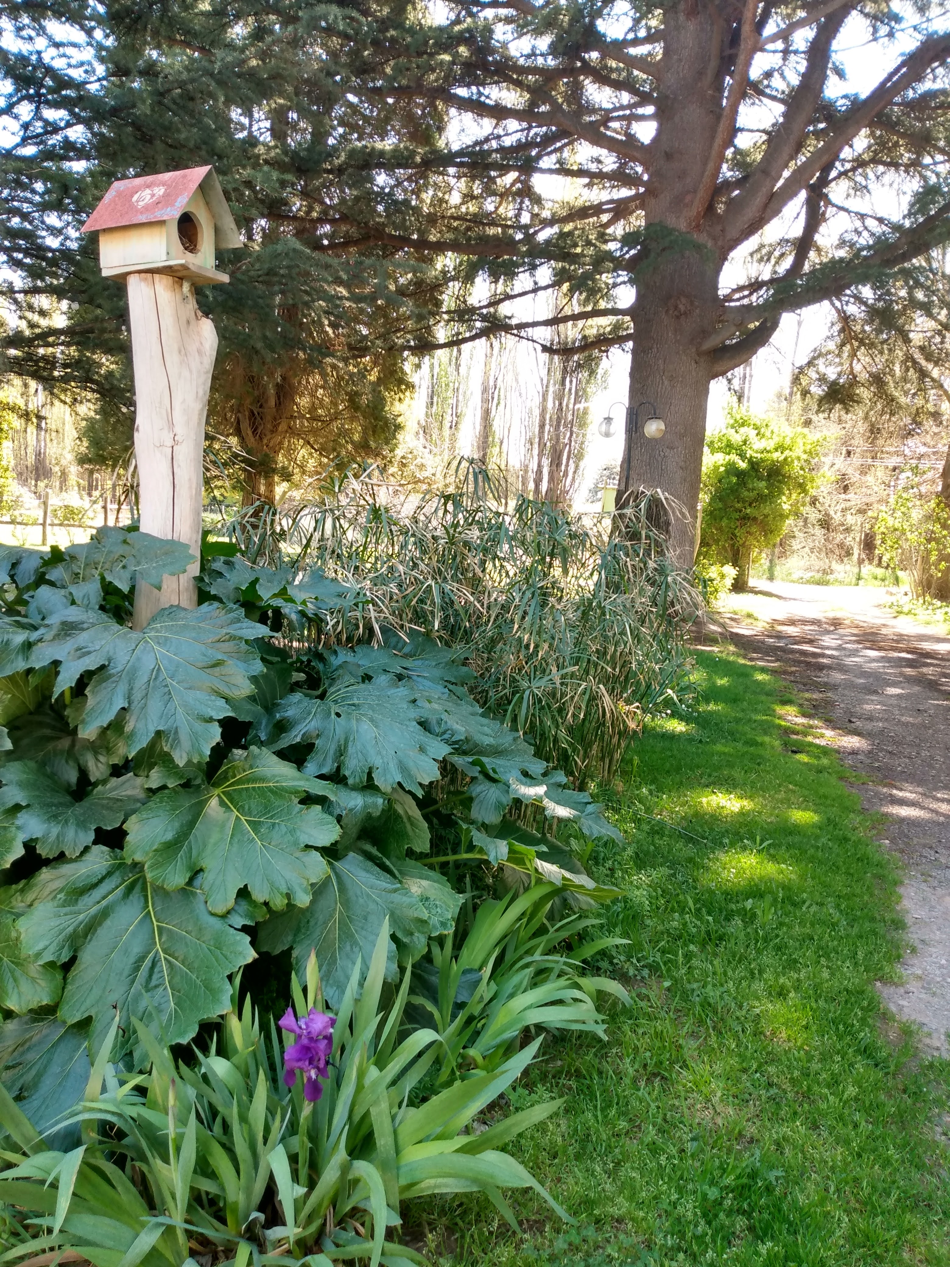 Camino de entrada con plantas y casita de pájaros