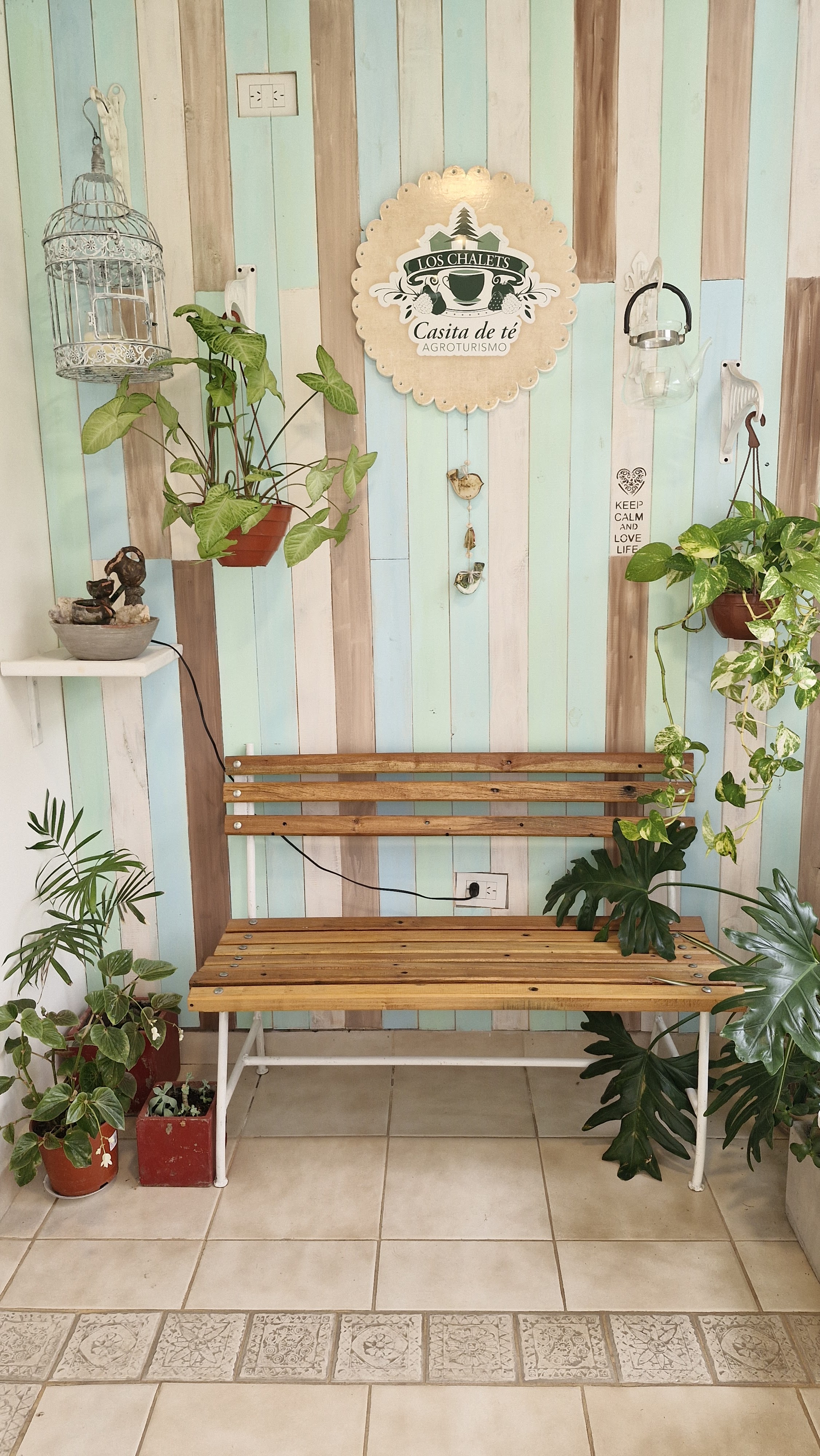 Mesa decorativa y pared de entrada al salón nuevo