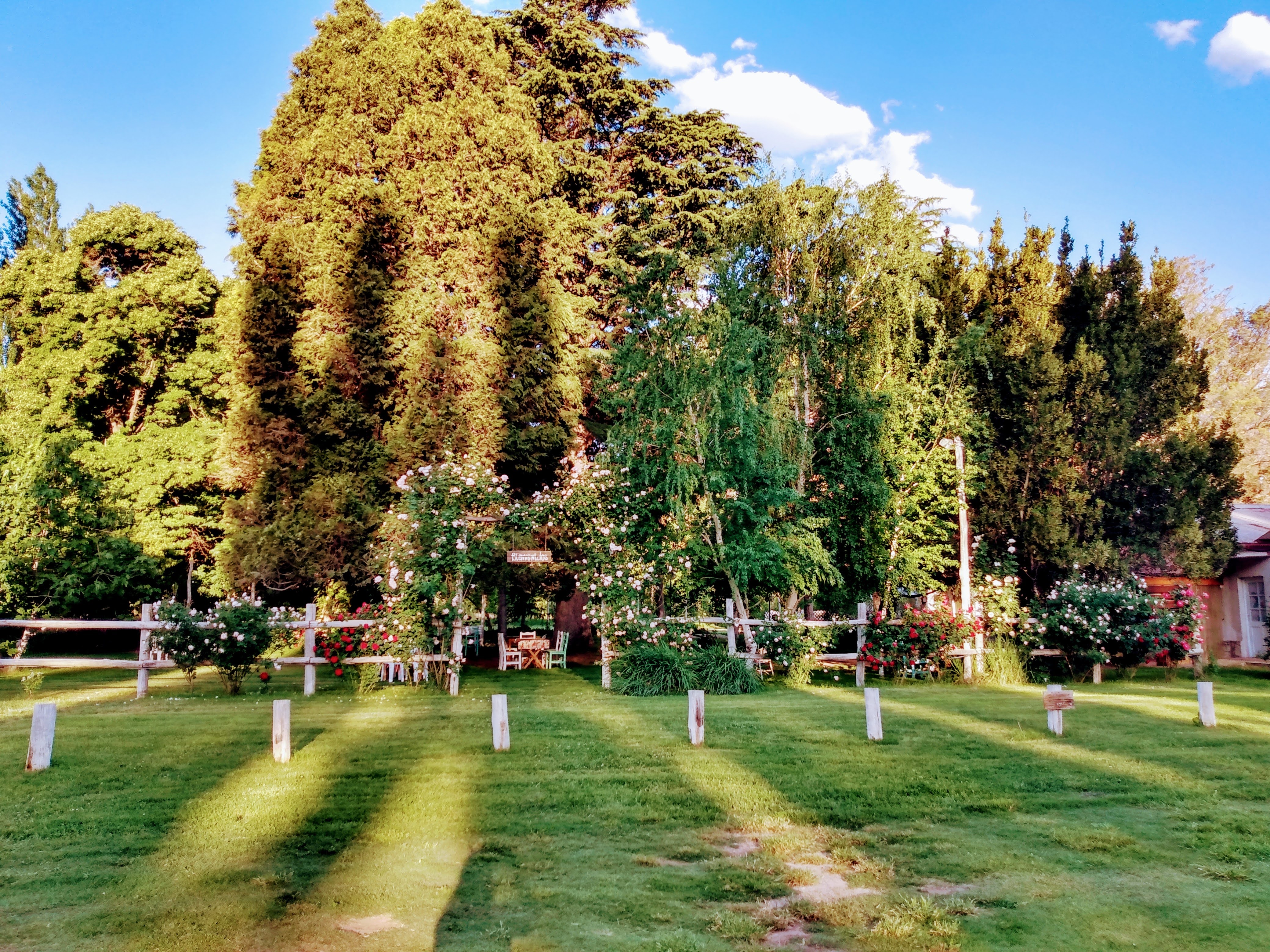 Entrada al parque con arco de bienvenida y vegetacion