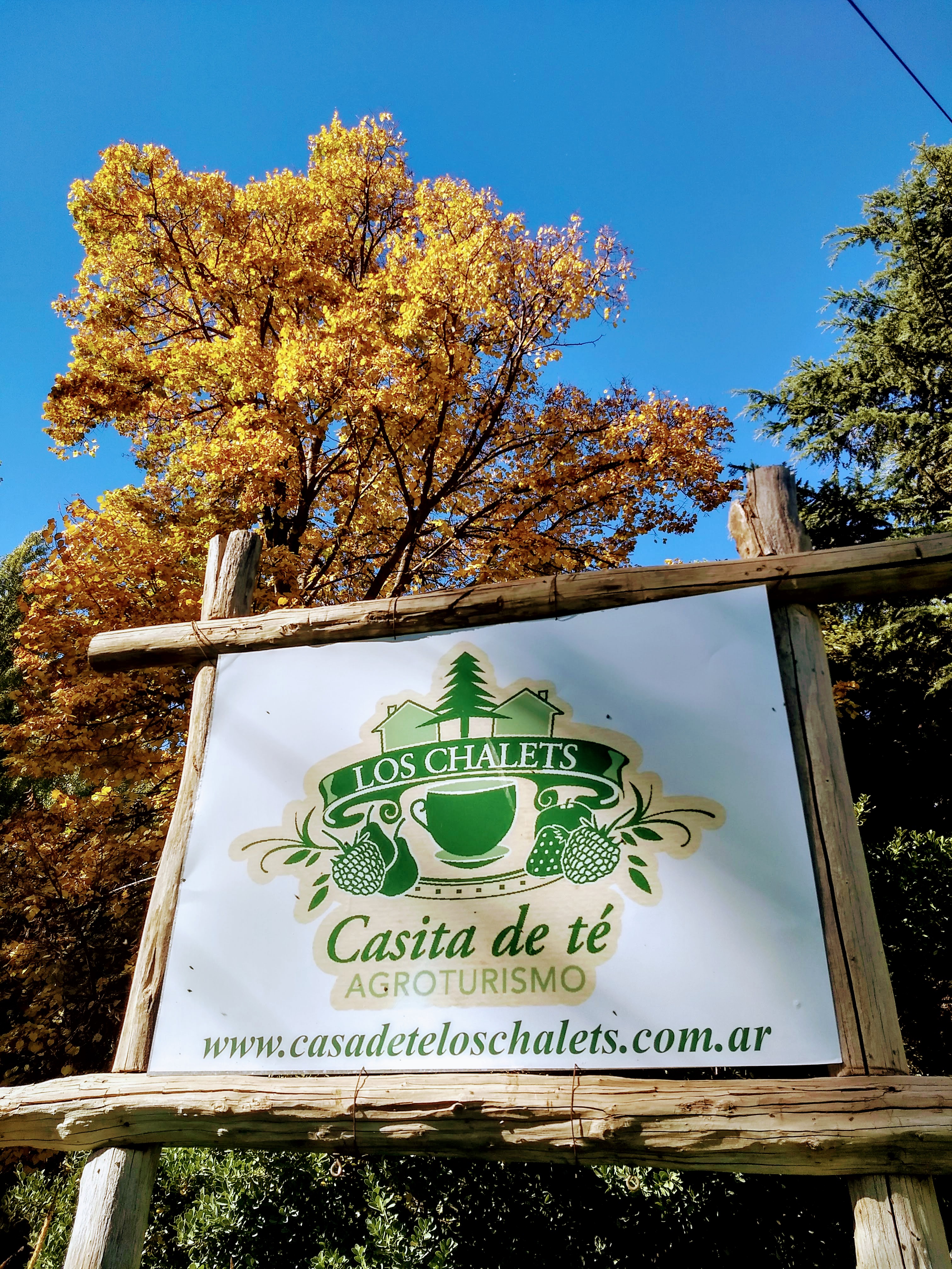 Camino entre árboles con hojas de otoño en Los Chalets