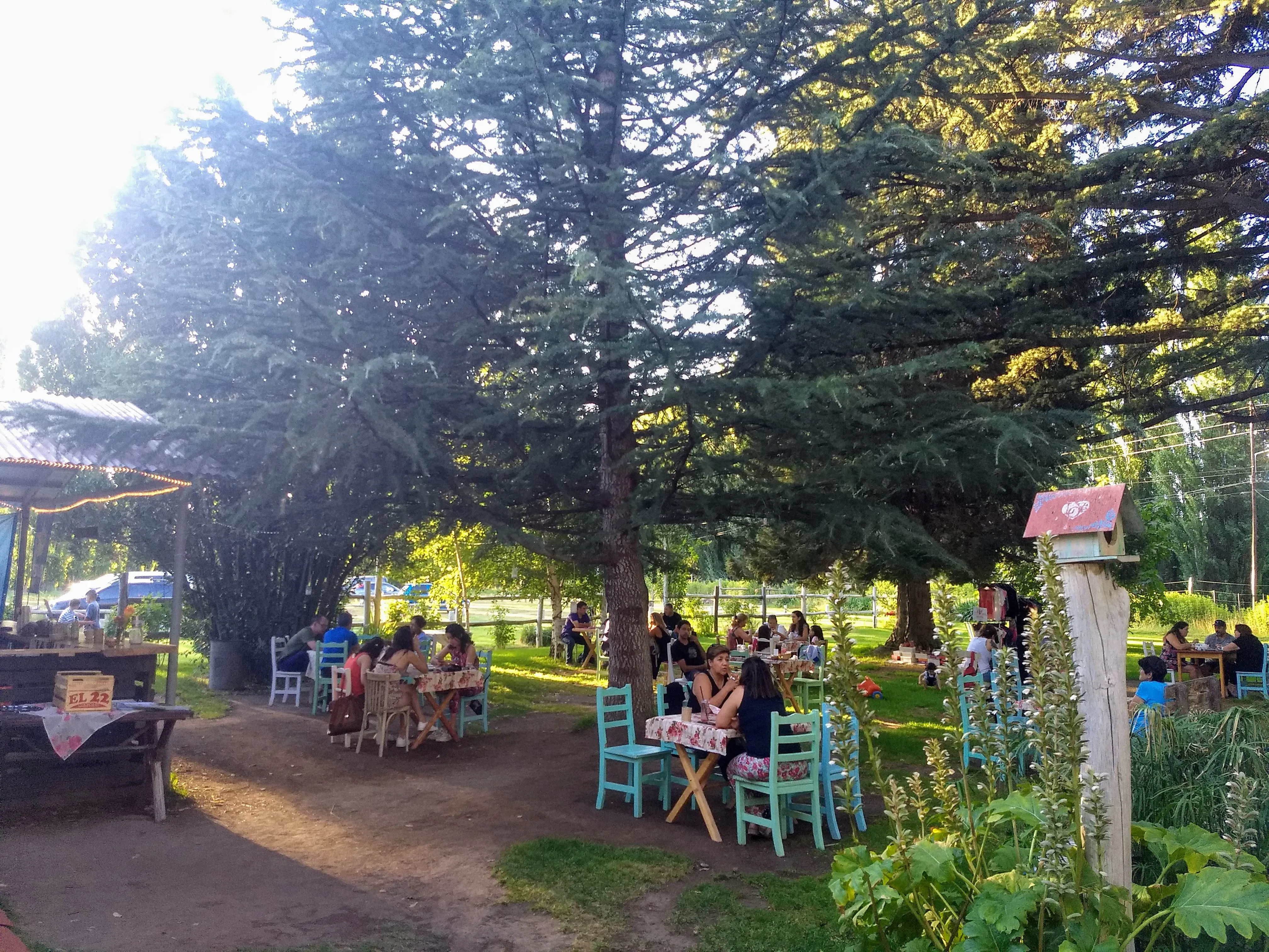 Parque verde con mesas bajo los árboles